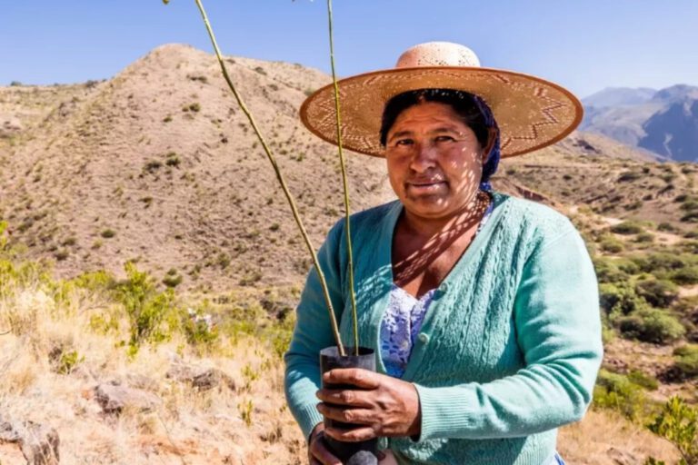 Trees for all - to wander